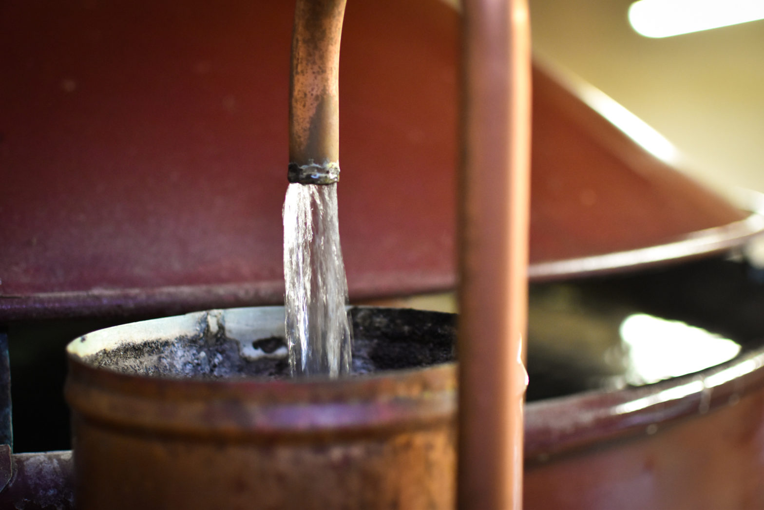 Le vignoble à l’heure de la distillation