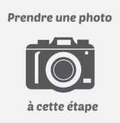 prendre une photo du tournesol
